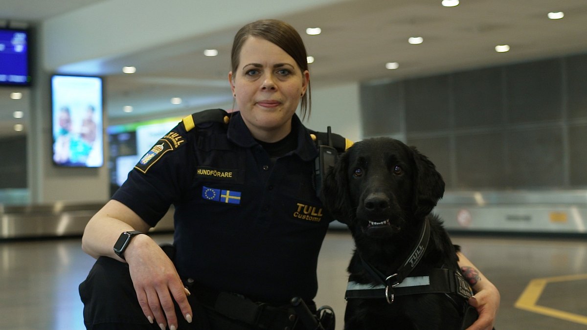 border control: schwedens grenzschützer