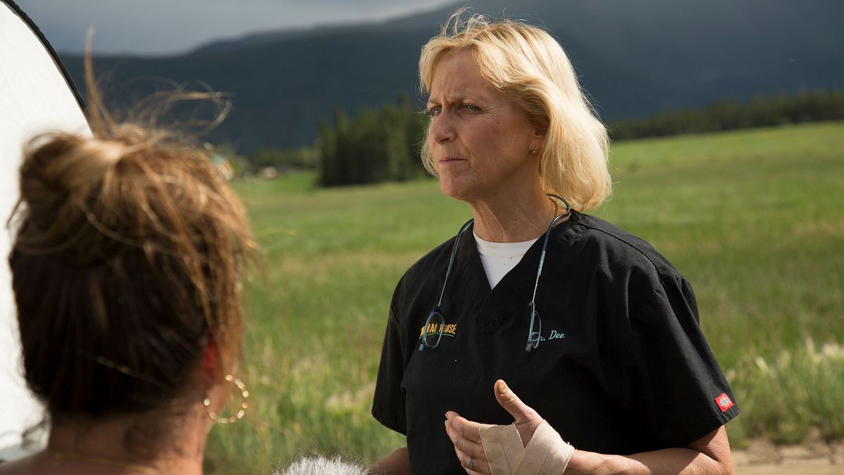 dr. dee: tierärztin in alaska