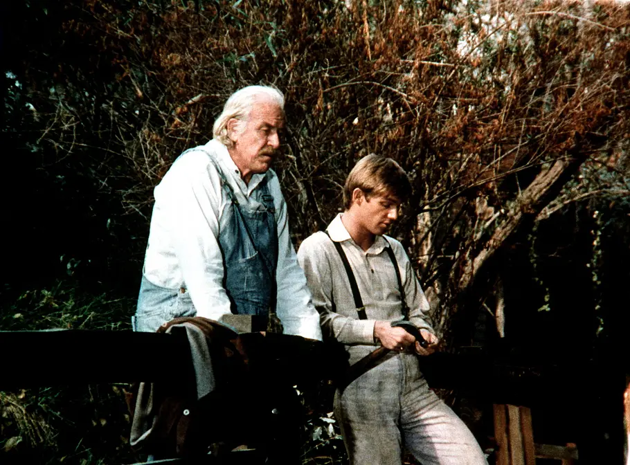 Die Waltons die waltons