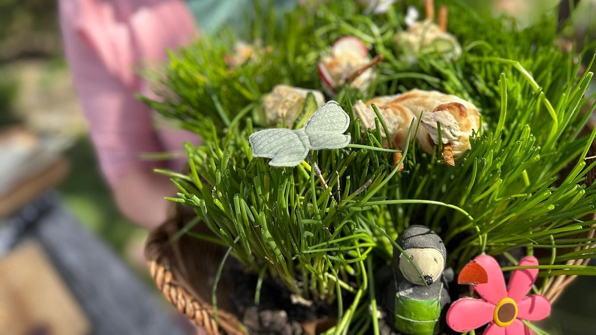 natur im garten