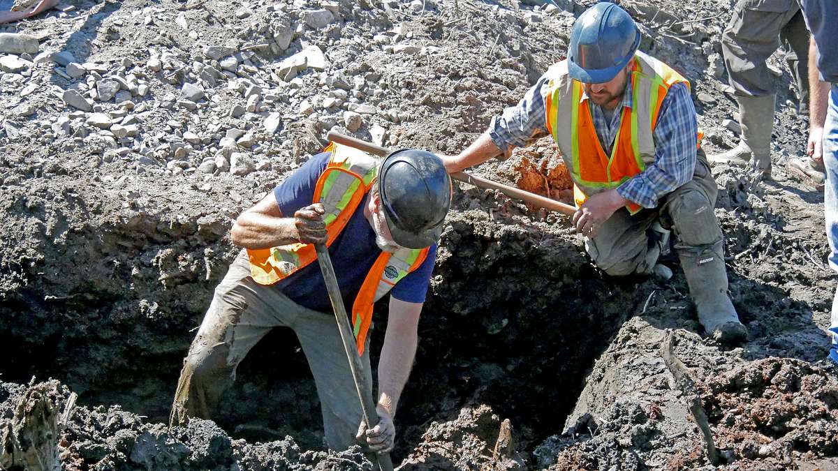 oak island - fluch und legende