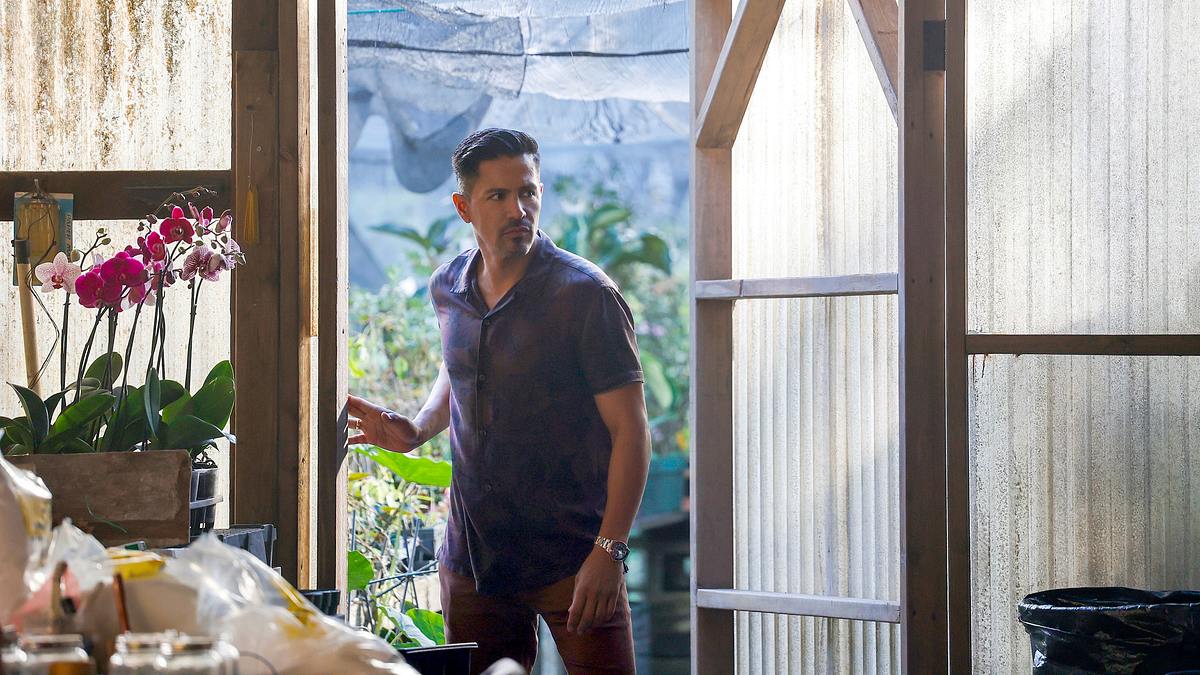 magnum p.i.