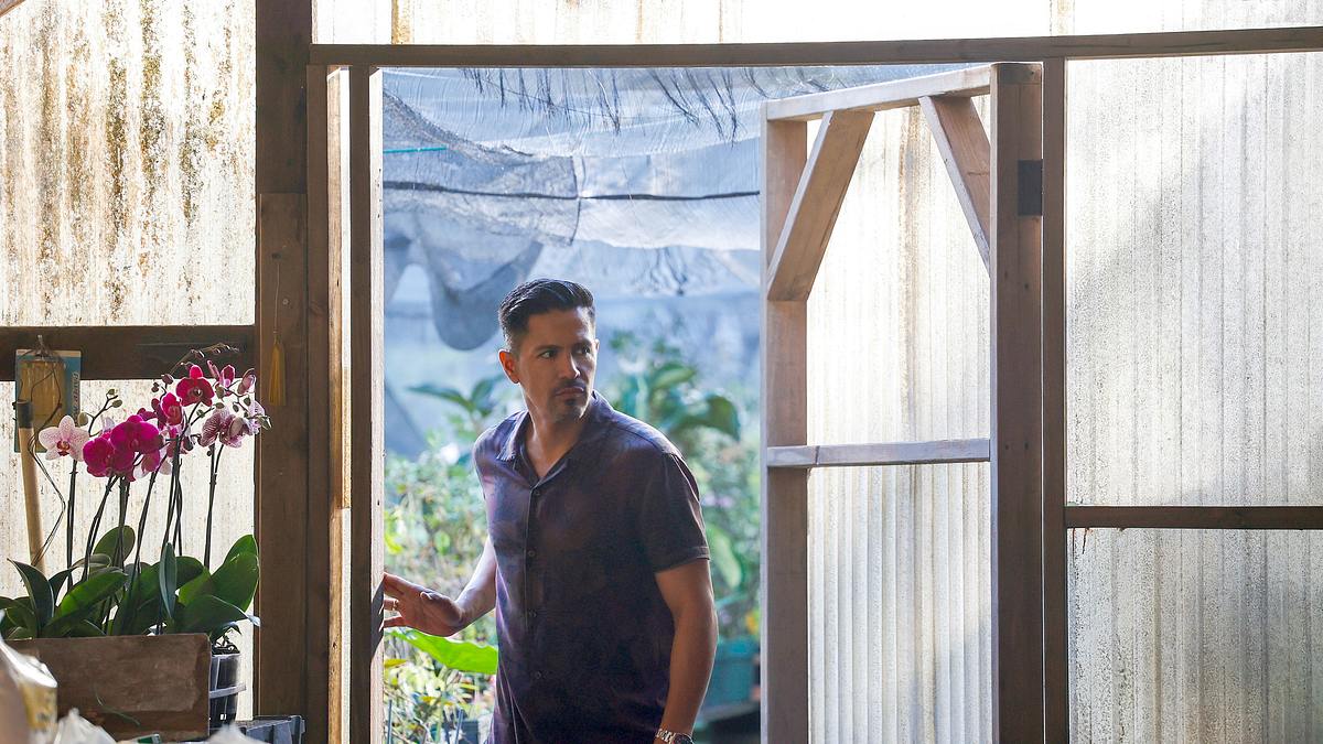 magnum p.i.