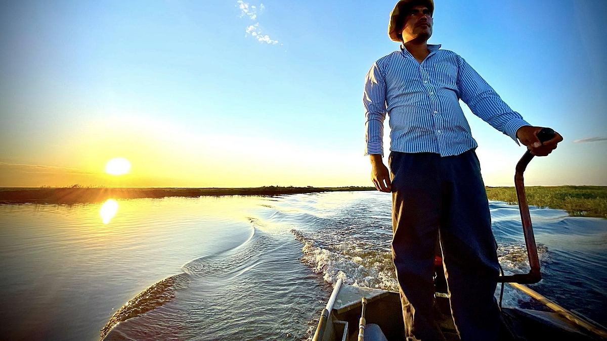 giganten unter wasser - riesenfischen auf der spur
