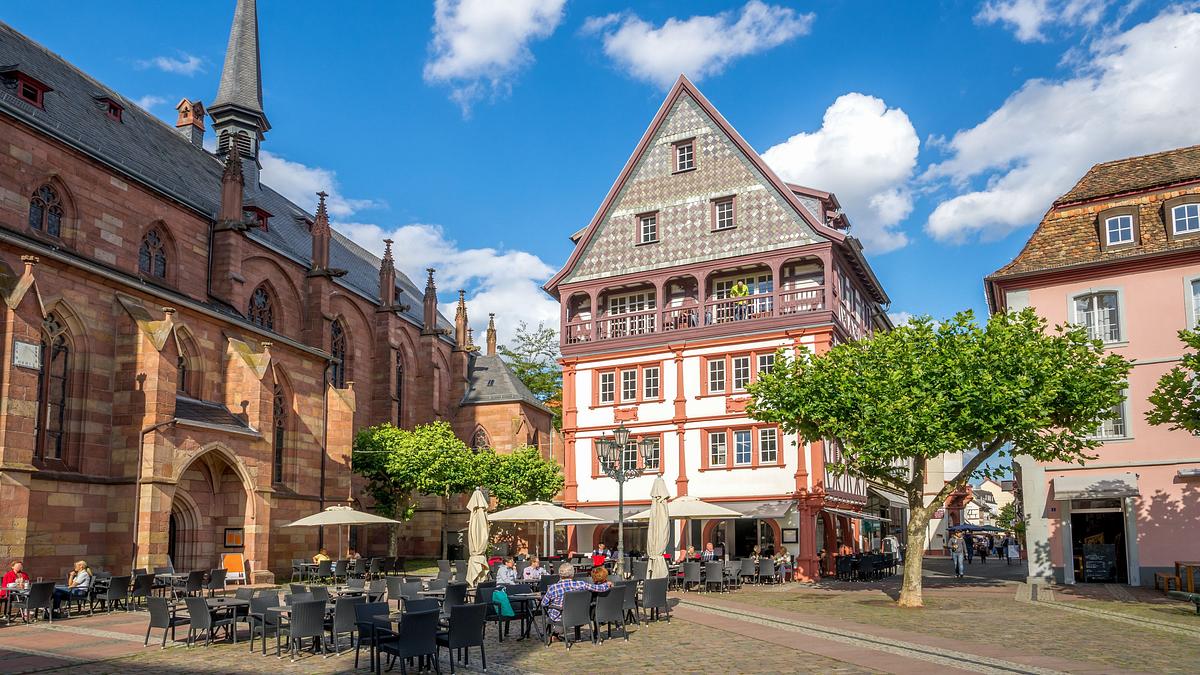tobis urlaubstrip