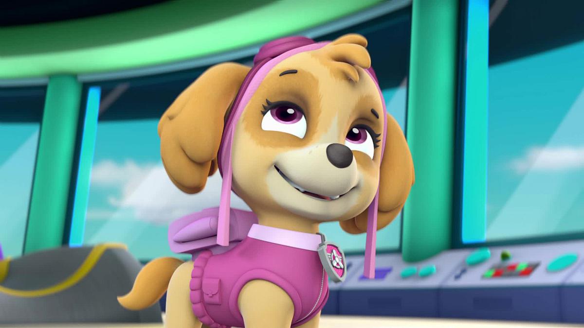 paw patrol - helfer auf vier pfoten