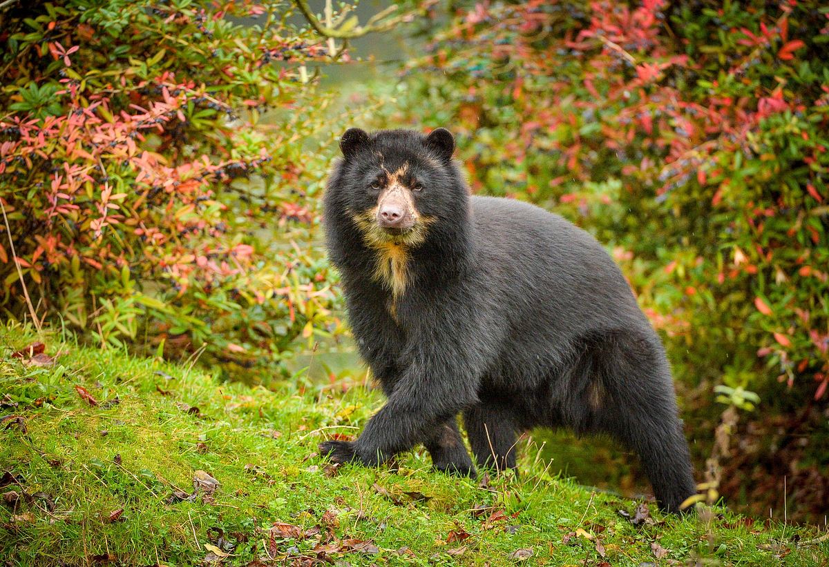 Zoo und so - Tierisch wild! zoo und so - tierisch wild!
