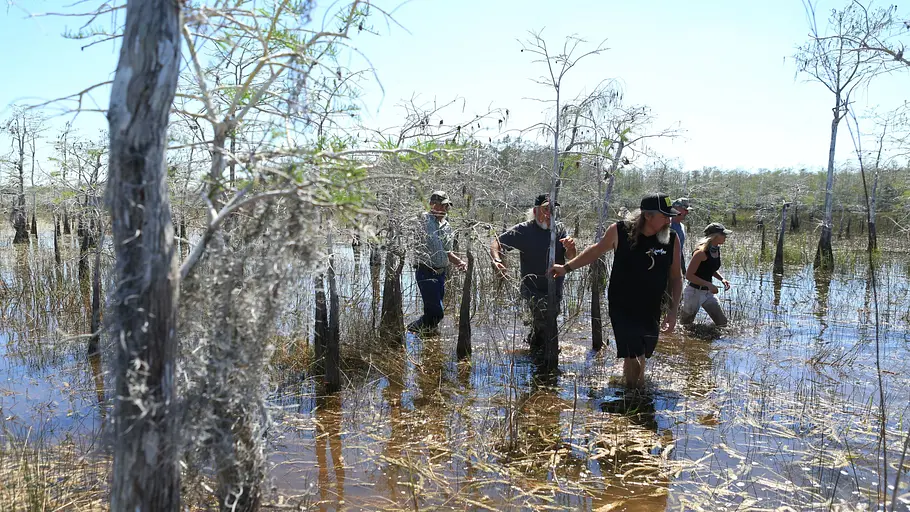 Die Pythonjäger - Einsatz in den Everglades die pythonjäger - einsatz in den everglades