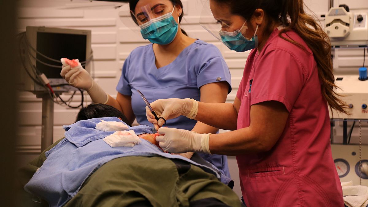 dr. pimple popper
