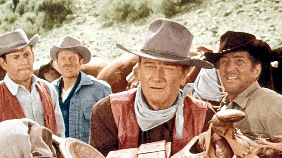 die vier söhne der katie elder