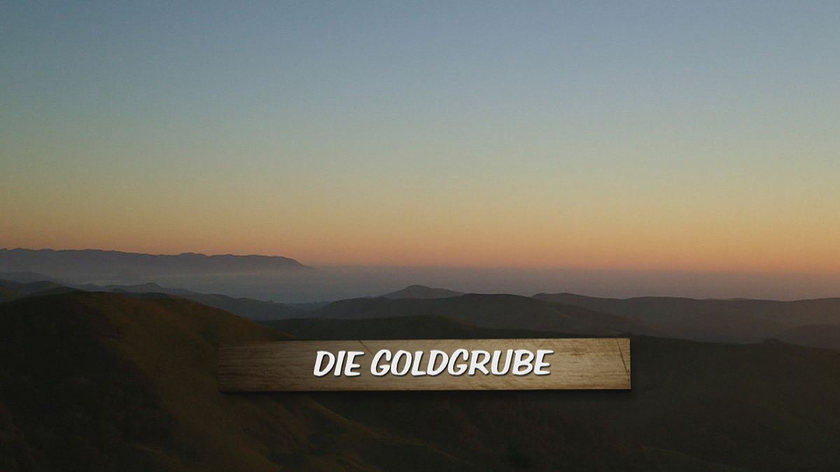 redwood kings - träume aus holz