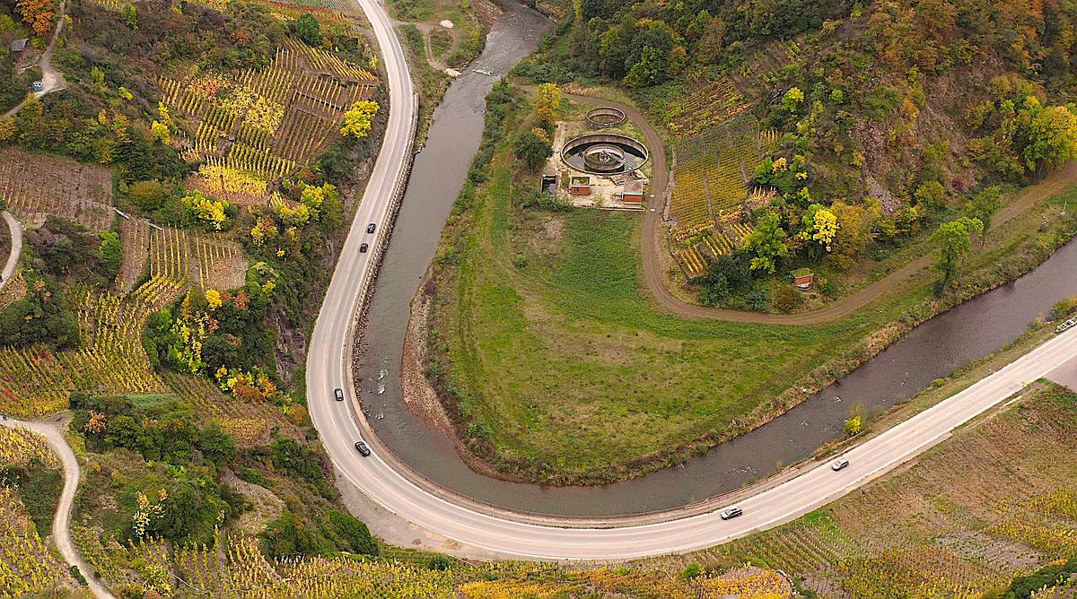neues leben nach der ahrflut - die rückkehr der natur