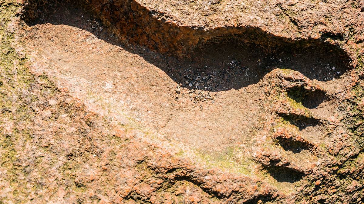 the proof is out there - auf den spuren des unerklärlichen