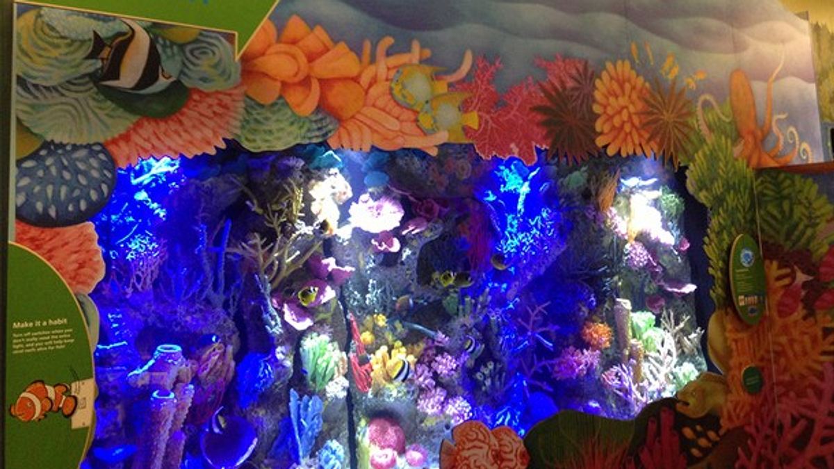 fish tank kings - gigantische wasserwelten