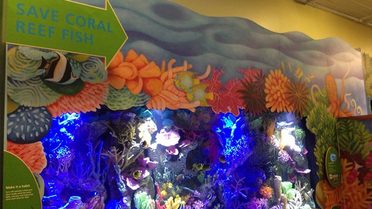 fish tank kings - gigantische wasserwelten