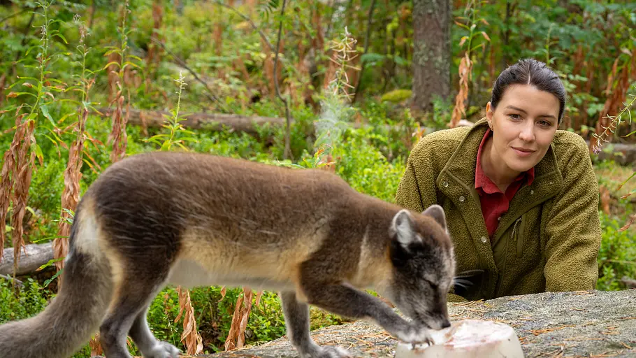 terra x