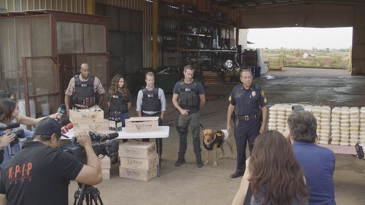 hawaii five-0