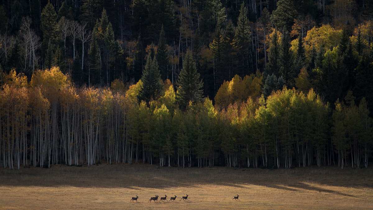 amerikas nationalparks