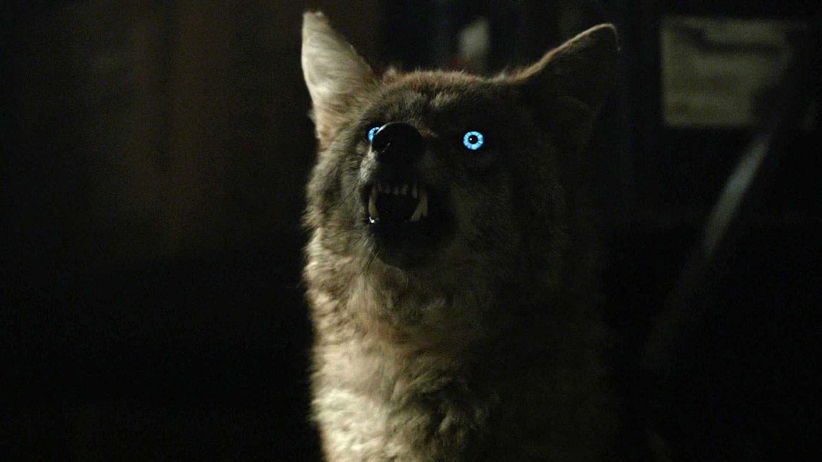 teen wolf