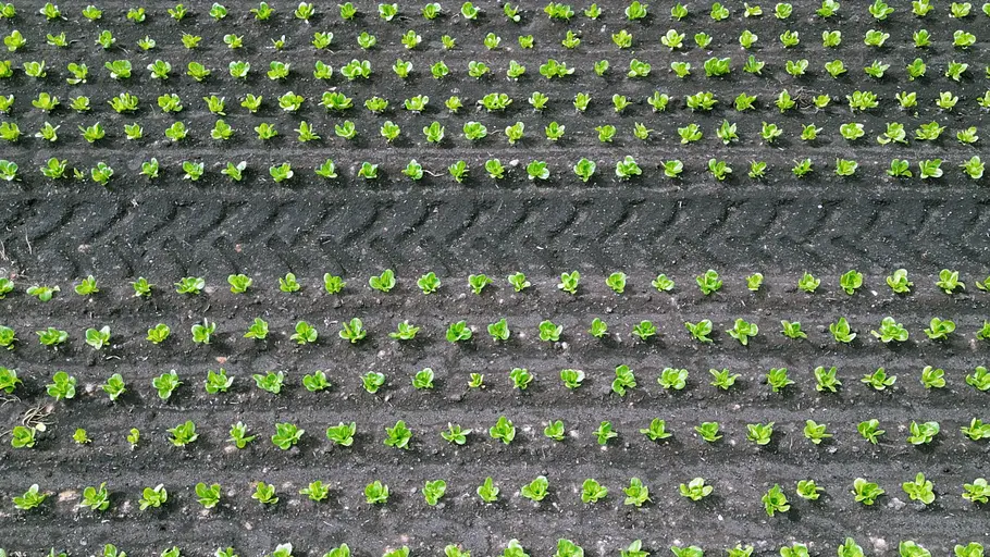 Pflügen, ackern, kämpfen: Die Geschichte der Bauern pflügen, ackern, kämpfen: die geschichte der bauern