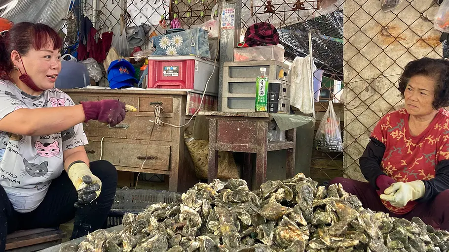 taiwan - kleiner inselstaat, grosse vielfalt