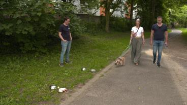 Der Hundeprofi - Rütters Team