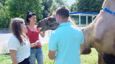 Bauer sucht Frau