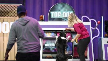 Top Dog Germany - Der beste Hund Deutschlands