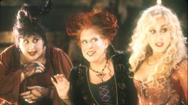 Hocus Pocus