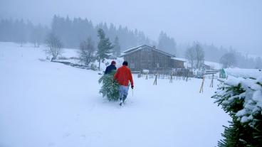 Alle Jahre wieder: Weihnachtliche Hofgeschichten