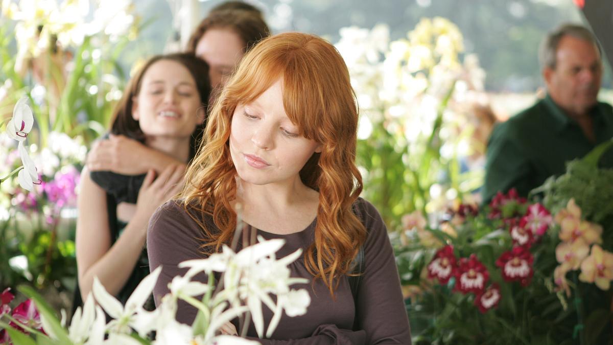 six feet under - gestorben wird immer