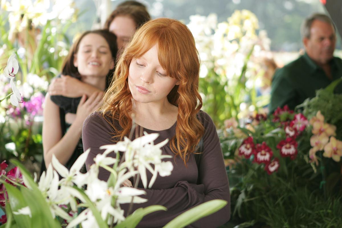 six feet under - gestorben wird immer