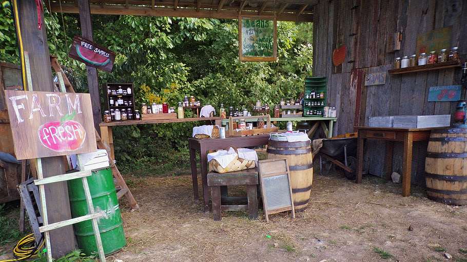moonshiners: master distiller