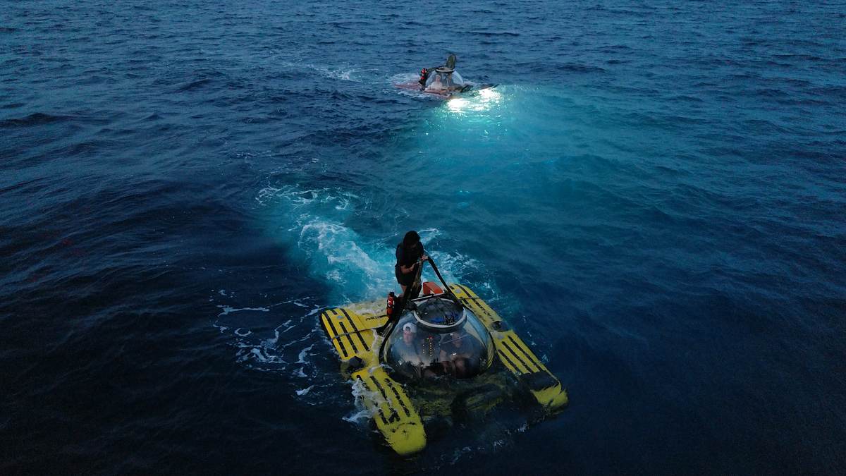 stranger sharks