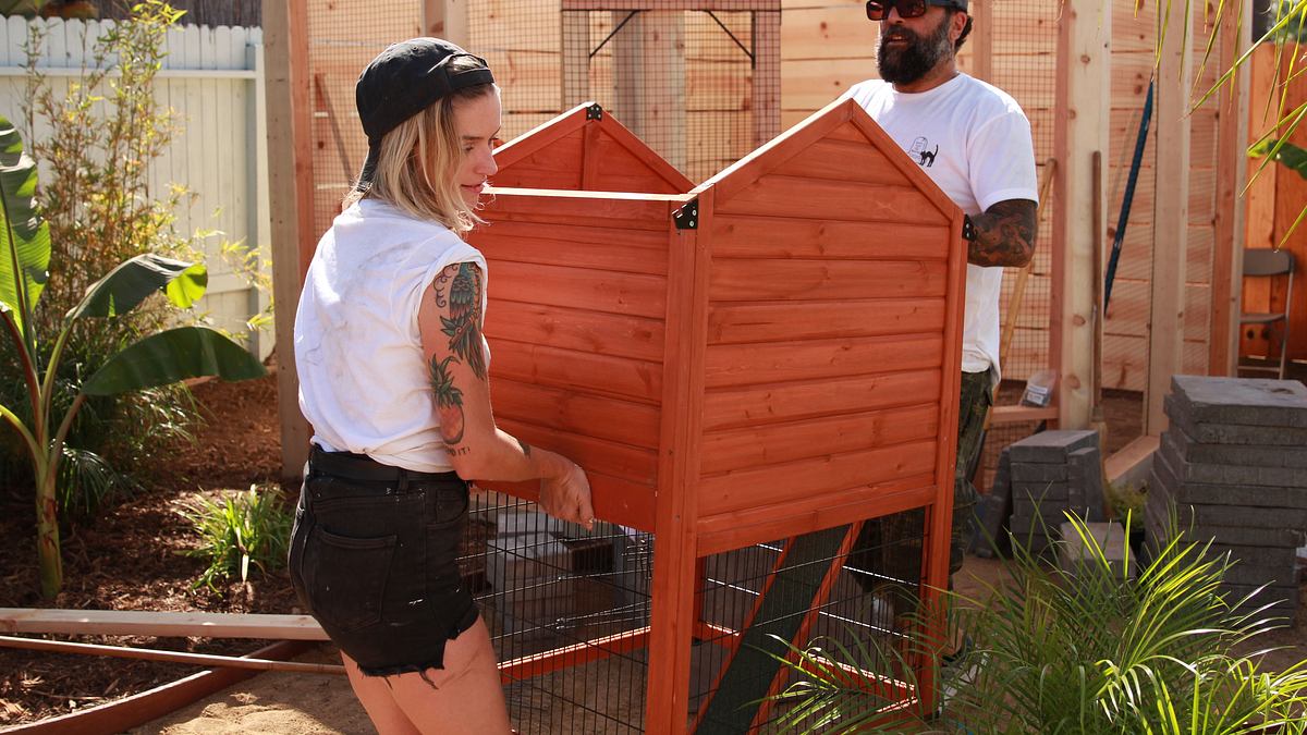 pet palace - hausträume für haustiere