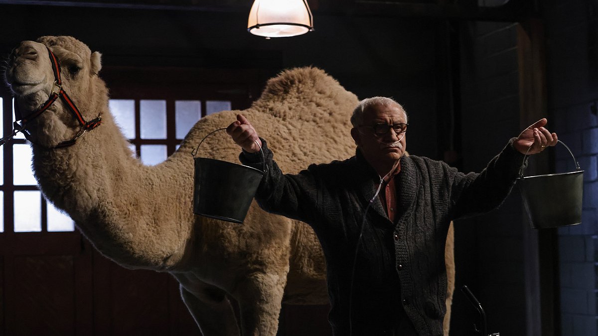 the blacklist