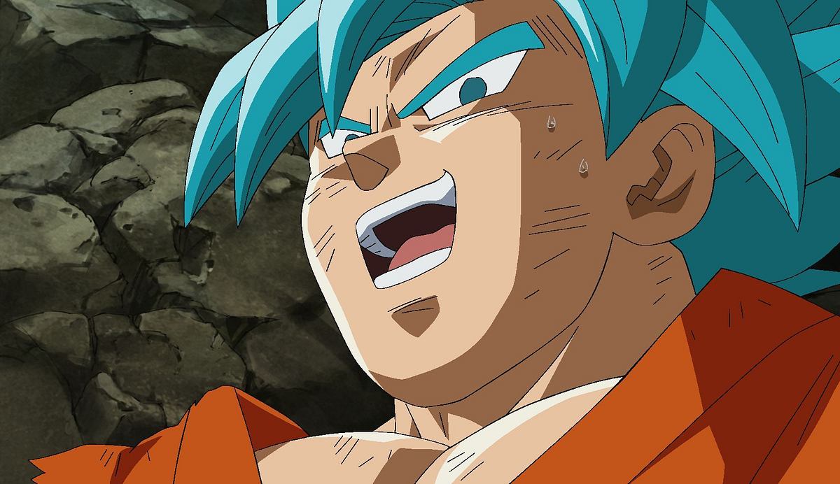 Dragon Ball Super dragon ball super