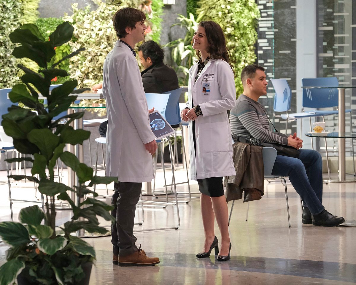 The Good Doctor the good doctor