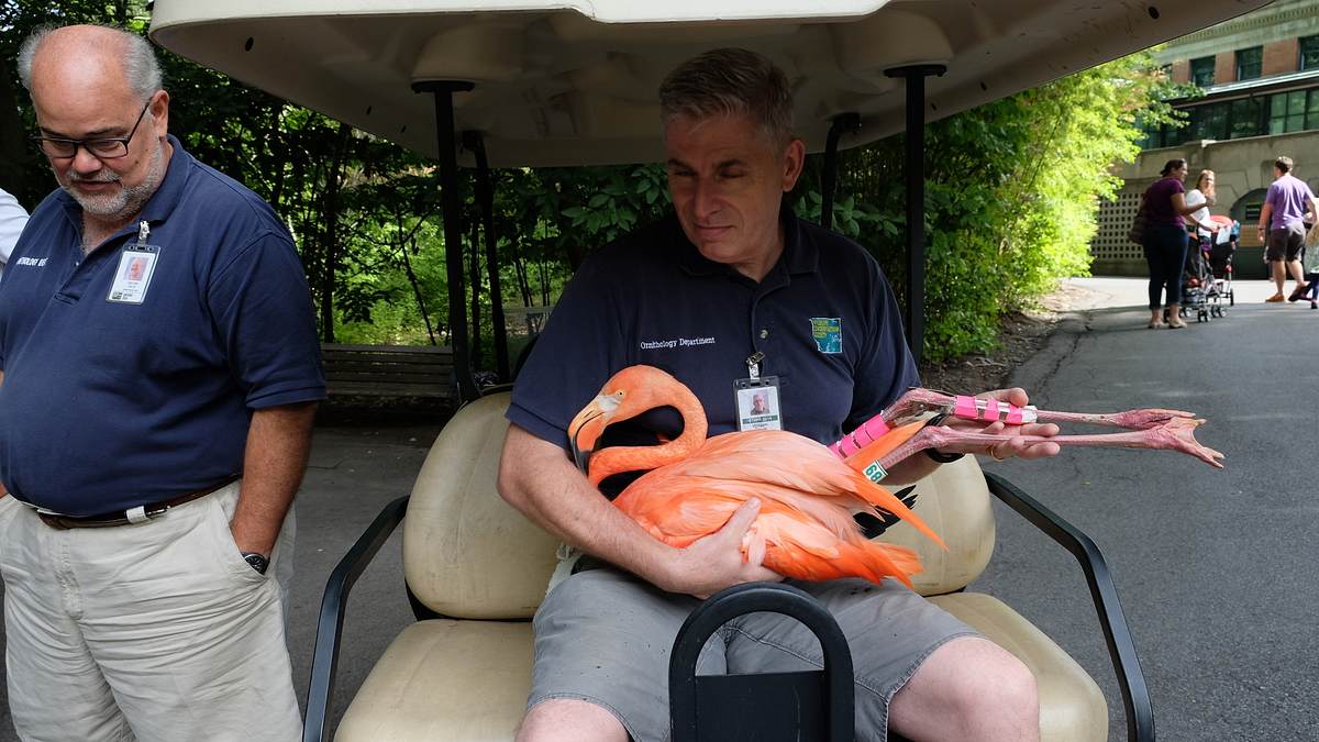 bronx zoo - tierpark der superlative