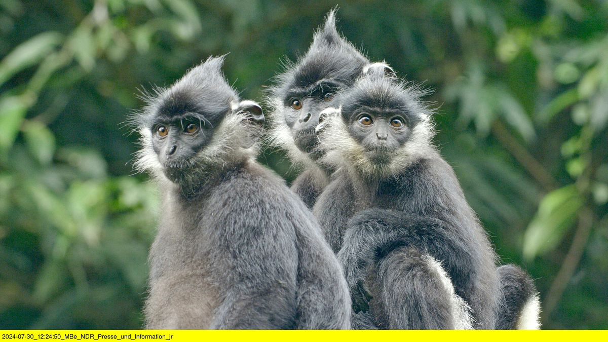abenteuer wildnis