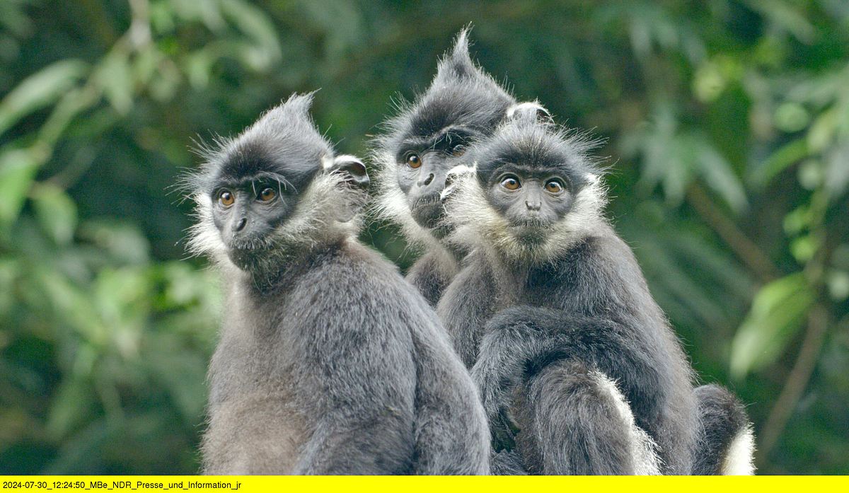 abenteuer wildnis