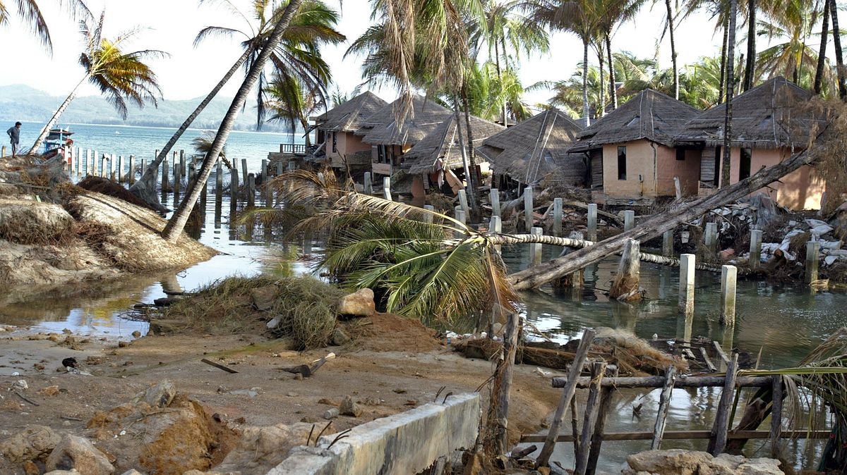 tsunami: wettlauf gegen die zeit