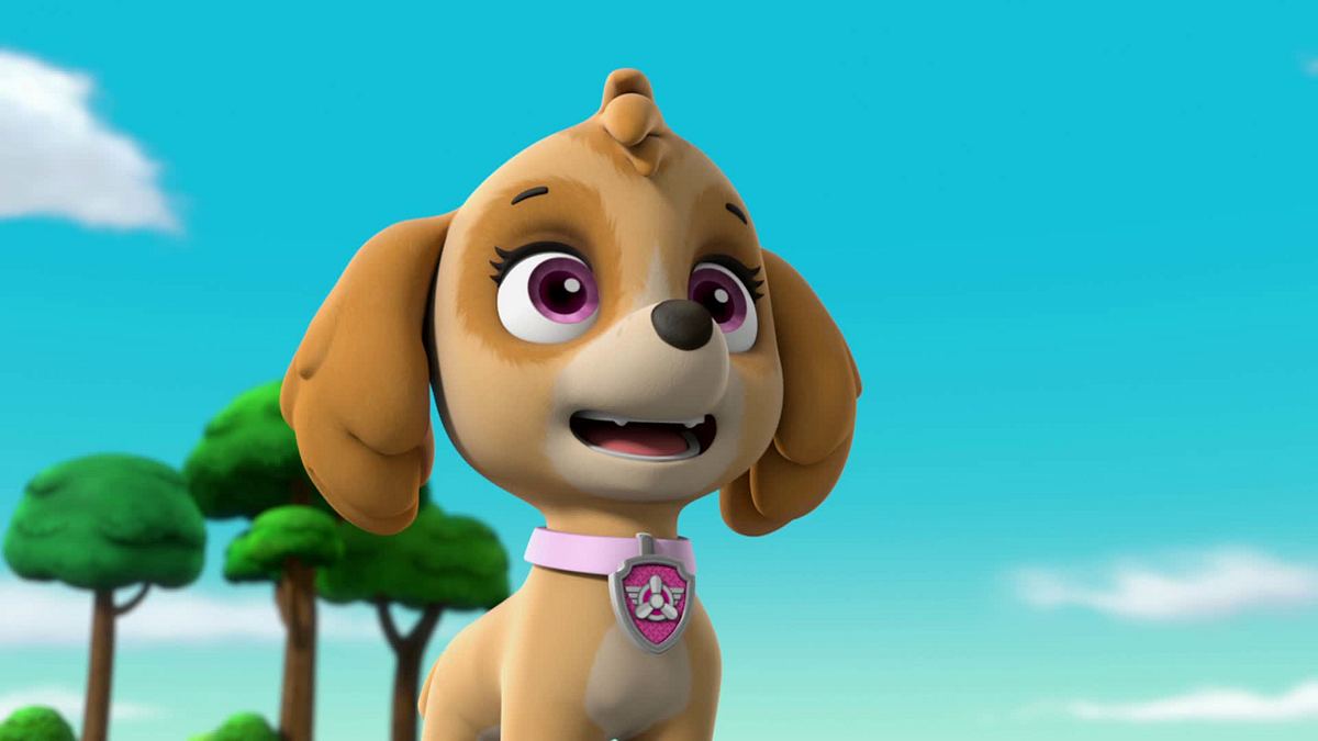 paw patrol - helfer auf vier pfoten