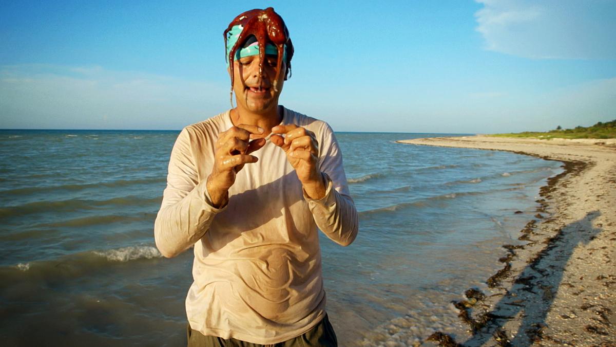 wild frank - abenteuer in mexiko