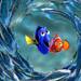 Findet Nemo Thumbnail