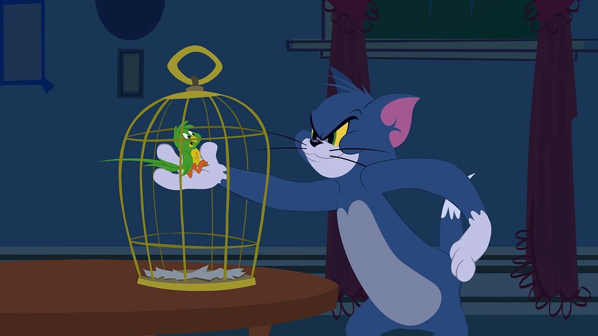 Die Tom und Jerry Show die tom und jerry show