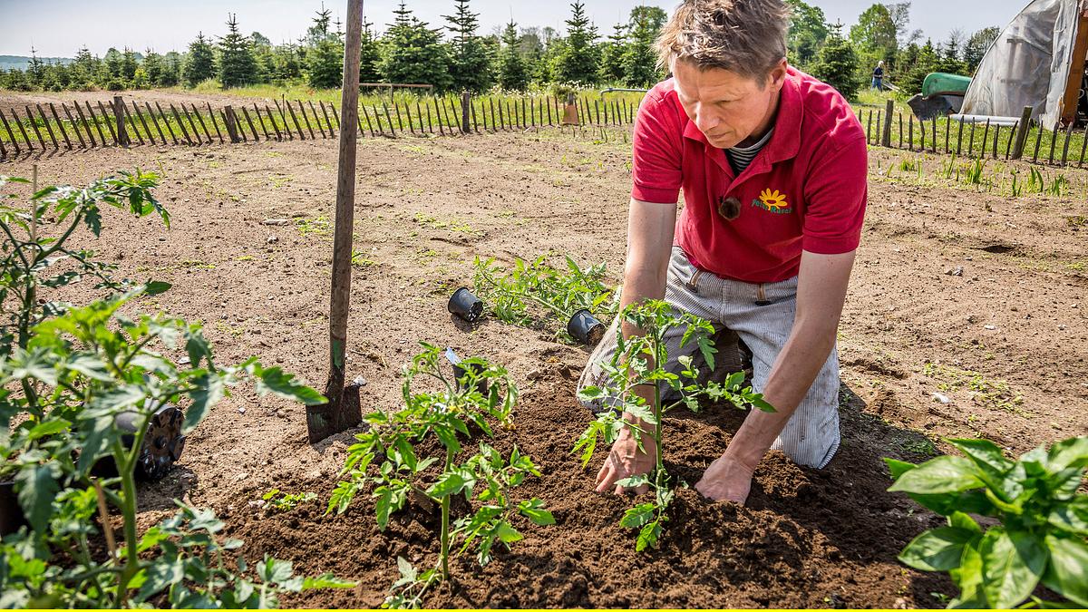 rasch durch den garten