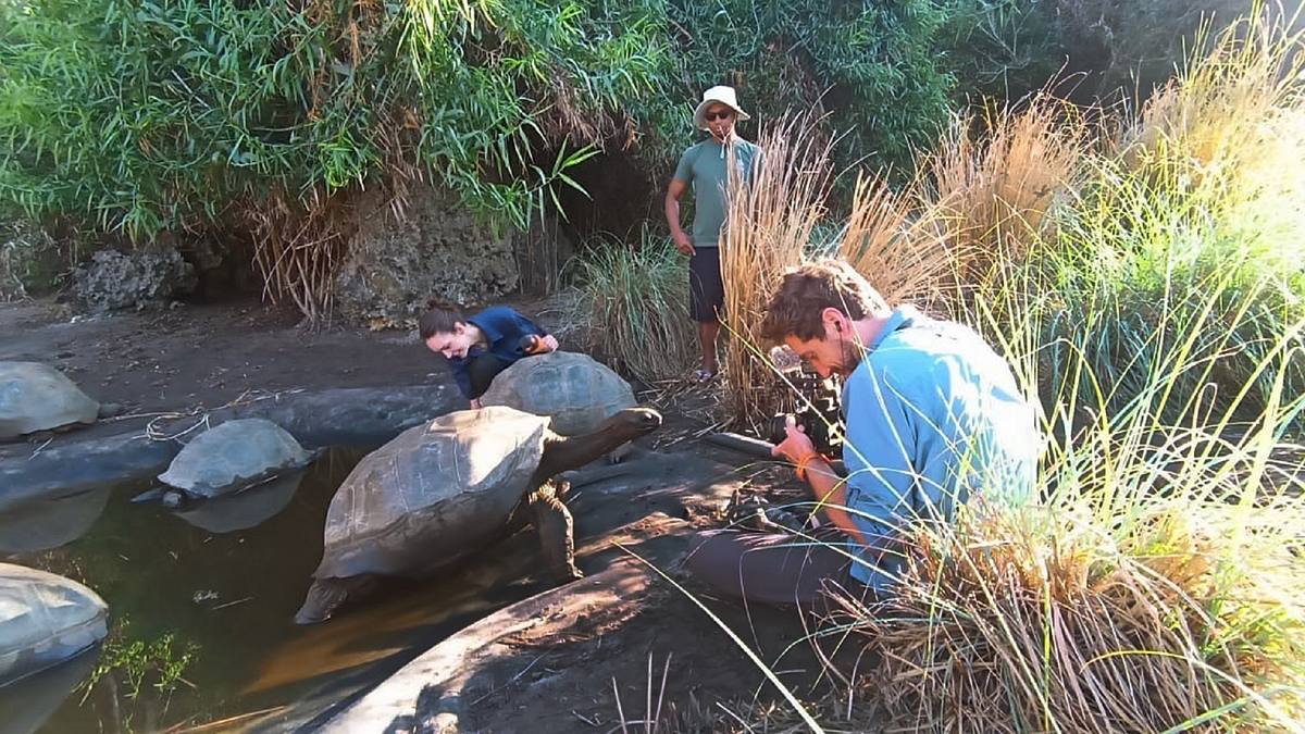 madagaskar - insel der widersprüche