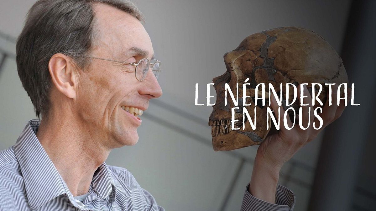 Der Neandertaler in uns Der Neandertaler in uns
