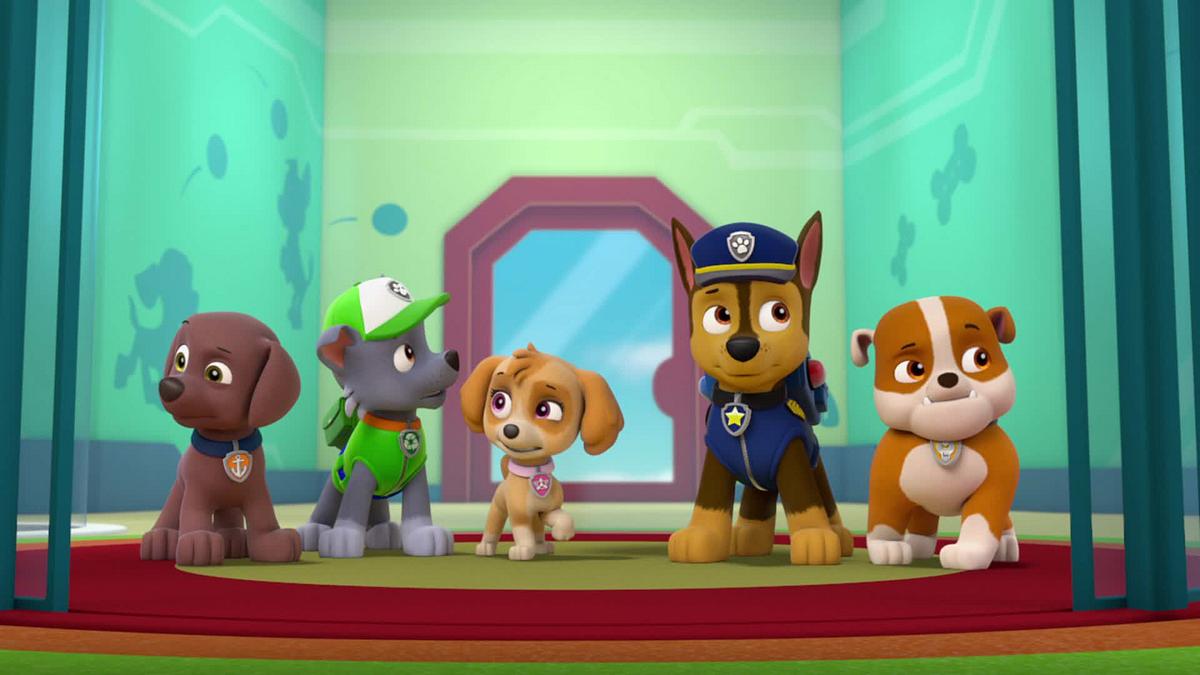 Paw Patrol - Helfer auf vier Pfoten paw patrol - helfer auf vier pfoten